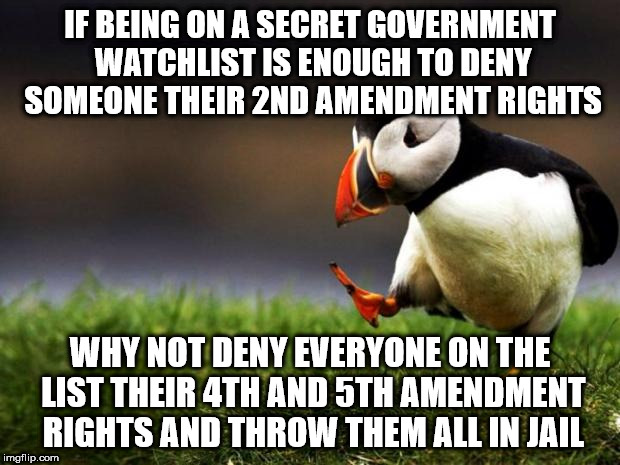 Unpopular Opinion Puffin Meme | IF BEING ON A SECRET GOVERNMENT WATCHLIST IS ENOUGH TO DENY SOMEONE THEIR 2ND AMENDMENT RIGHTS; WHY NOT DENY EVERYONE ON THE LIST THEIR 4TH AND 5TH AMENDMENT RIGHTS AND THROW THEM ALL IN JAIL | image tagged in memes,unpopular opinion puffin | made w/ Imgflip meme maker