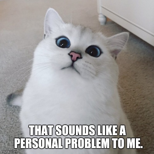 Sounds like a personal problem to me. | THAT SOUNDS LIKE A PERSONAL PROBLEM TO ME. | image tagged in sarcasm cat,i don't care,i don't want to live on this planet anymore,you suck,cute cats | made w/ Imgflip meme maker