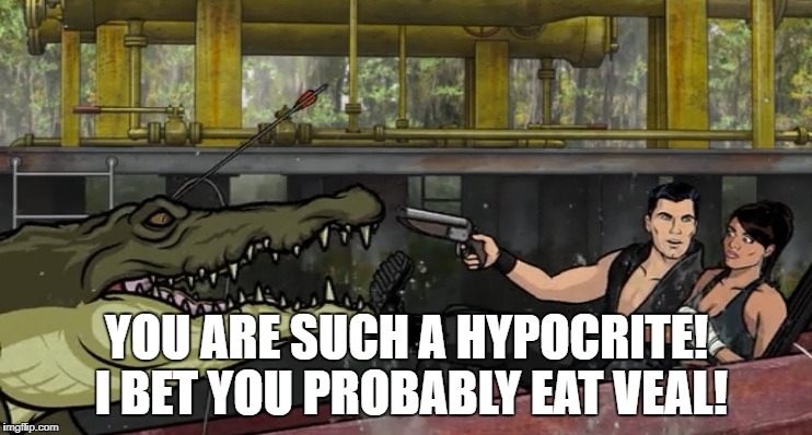 Archer Hypocrite | YOU ARE SUCH A HYPOCRITE! I BET YOU PROBABLY EAT VEAL! | image tagged in archer,alligator,lana | made w/ Imgflip meme maker