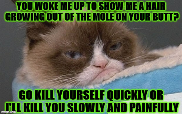 YOU WOKE ME UP TO SHOW ME A HAIR GROWING OUT OF THE MOLE ON YOUR BUTT? GO KILL YOURSELF QUICKLY OR I'LL KILL YOU SLOWLY AND PAINFULLY | image tagged in grumpy cat | made w/ Imgflip meme maker