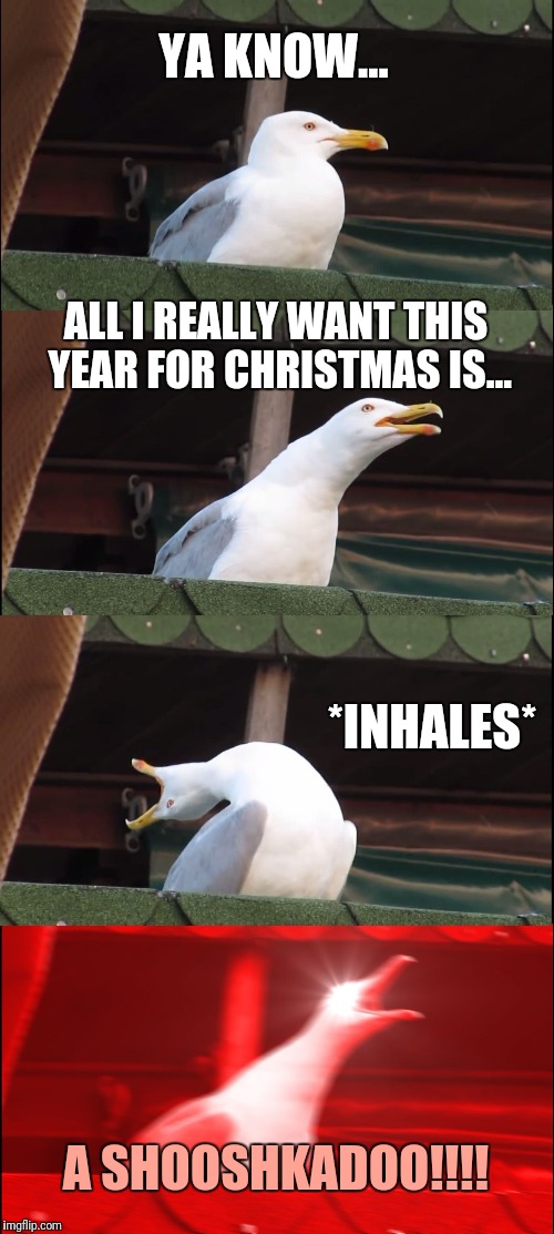 Inhaling Seagull | YA KNOW... ALL I REALLY WANT THIS YEAR FOR CHRISTMAS IS... *INHALES*; A SHOOSHKADOO!!!! | image tagged in memes,inhaling seagull | made w/ Imgflip meme maker