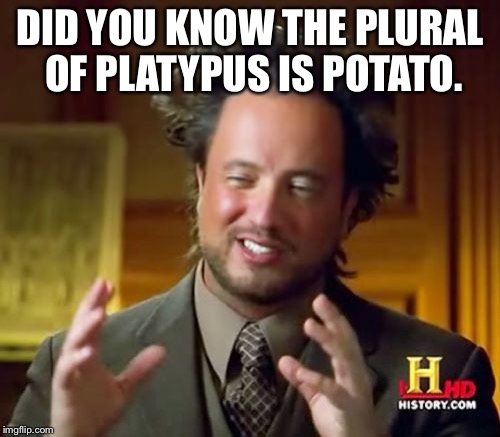 Ancient Aliens Meme | DID YOU KNOW THE PLURAL OF PLATYPUS IS POTATO. | image tagged in memes,ancient aliens | made w/ Imgflip meme maker