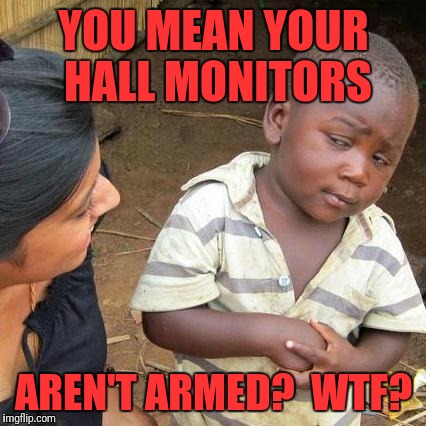 Third World Skeptical Kid Meme | YOU MEAN YOUR HALL MONITORS AREN'T ARMED?  WTF? | image tagged in memes,third world skeptical kid | made w/ Imgflip meme maker