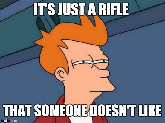 Futurama Fry Meme | IT'S JUST A RIFLE THAT SOMEONE DOESN'T LIKE | image tagged in memes,futurama fry | made w/ Imgflip meme maker