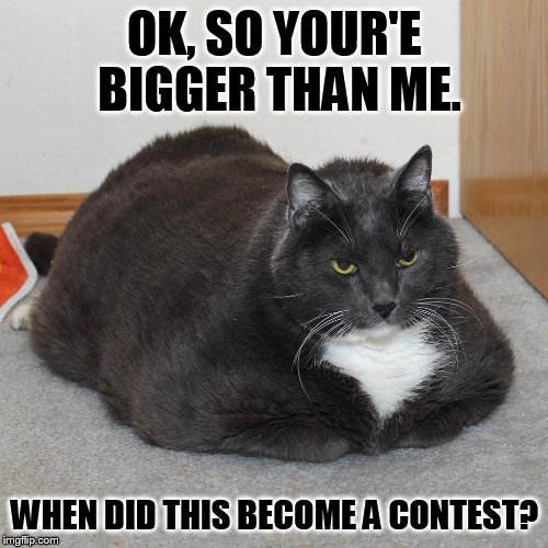 OK, SO YOUR'E BIGGER THAN ME. WHEN DID THIS BECOME A CONTEST? | made w/ Imgflip meme maker