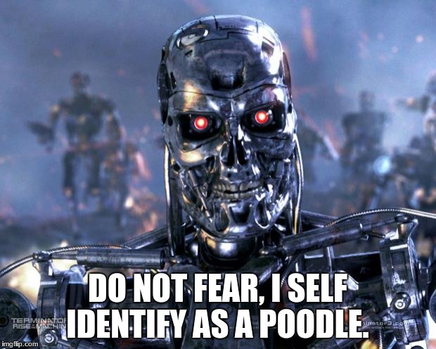 Terminator Robot T-800 | DO NOT FEAR, I SELF IDENTIFY AS A POODLE. | image tagged in terminator robot t-800 | made w/ Imgflip meme maker