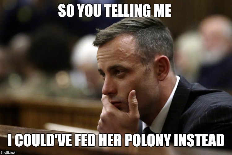 SO YOU TELLING ME; I COULD'VE FED HER POLONY INSTEAD | image tagged in savage | made w/ Imgflip meme maker