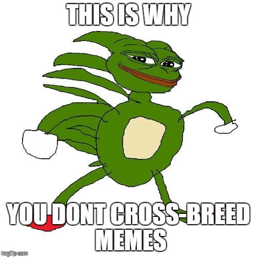 sanic pepe | THIS IS WHY; YOU DONT CROSS-BREED MEMES | image tagged in sanic pepe | made w/ Imgflip meme maker