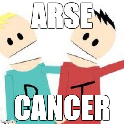 Arse Cancer | ARSE; CANCER | image tagged in terrance n phillip,arse cancer | made w/ Imgflip meme maker