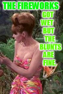 THE FIREWORKS GOT WET    BUT    THE    BLUNTS ARE   FINE. | made w/ Imgflip meme maker