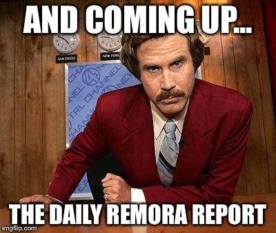 ron burgundy | AND COMING UP... THE DAILY REMORA REPORT | image tagged in ron burgundy | made w/ Imgflip meme maker