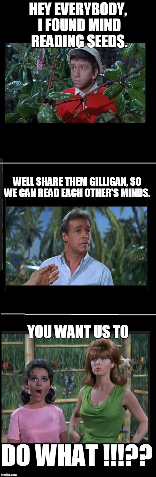 Happy Gilligan's Island Week |  HEY EVERYBODY, I FOUND MIND READING SEEDS. WELL SHARE THEM GILLIGAN, SO WE CAN READ EACH OTHER'S MINDS. YOU WANT US TO; DO WHAT !!!?? | image tagged in gilligan's island | made w/ Imgflip meme maker