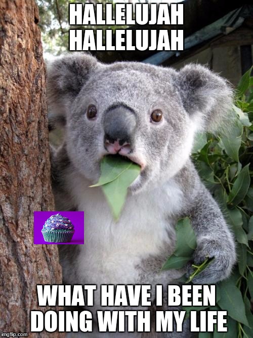 Surprised Koala | HALLELUJAH HALLELUJAH; WHAT HAVE I BEEN DOING WITH MY LIFE | image tagged in memes,surprised koala | made w/ Imgflip meme maker