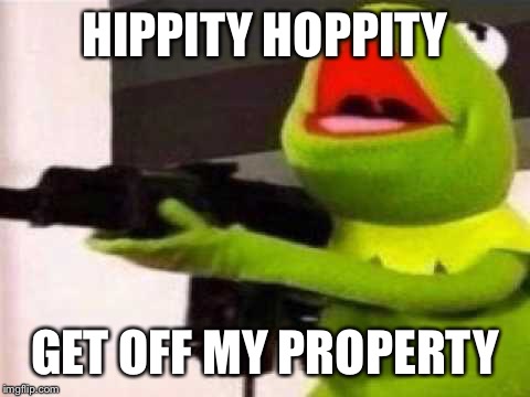 HIPPITY HOPPITY; GET OFF MY PROPERTY | image tagged in kermit the frog,guns,hippity,hoppity,get off me property | made w/ Imgflip meme maker