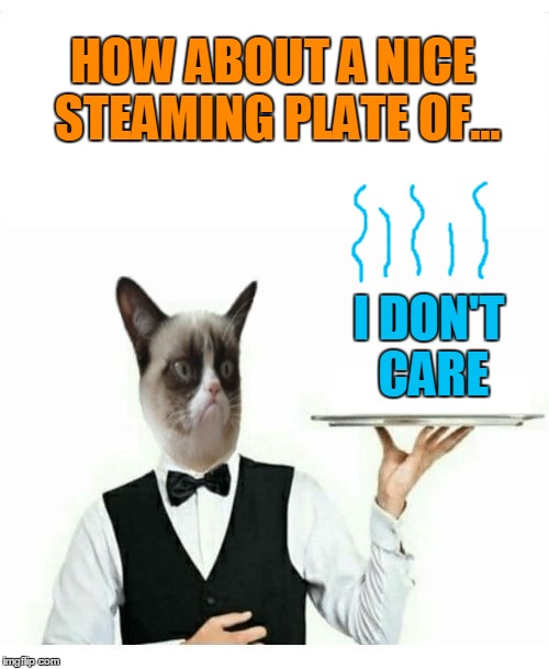 Might be useful for comments? (Template by Raydog.) | HOW ABOUT A NICE STEAMING PLATE OF... I DON'T CARE | image tagged in grumpy cat waiter,grumpy cat,memes,waiter,comments,i don't care | made w/ Imgflip meme maker