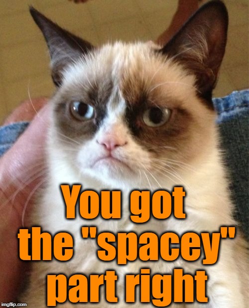 Grumpy Cat Meme | You got the "spacey" part right | image tagged in memes,grumpy cat | made w/ Imgflip meme maker