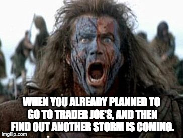 Wallace battle cry | WHEN YOU ALREADY PLANNED TO GO TO TRADER JOE'S, AND THEN FIND OUT ANOTHER STORM IS COMING. | image tagged in wallace battle cry | made w/ Imgflip meme maker