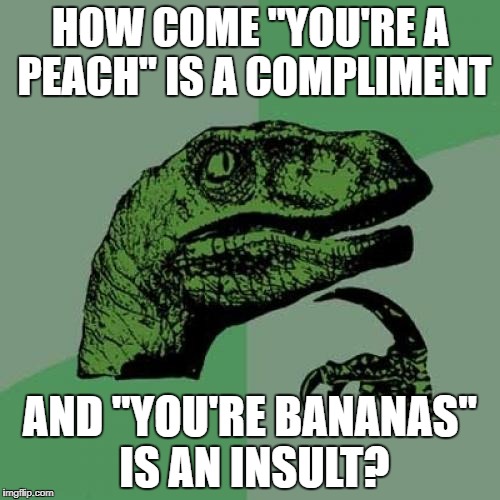 Philosoraptor | HOW COME "YOU'RE A PEACH" IS A COMPLIMENT; AND "YOU'RE BANANAS" IS AN INSULT? | image tagged in memes,philosoraptor | made w/ Imgflip meme maker