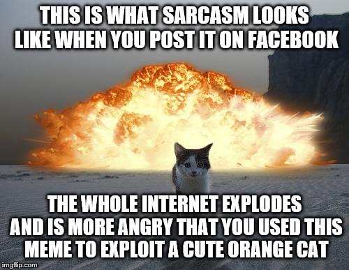 cat explosion | THIS IS WHAT SARCASM LOOKS LIKE WHEN YOU POST IT ON FACEBOOK; THE WHOLE INTERNET EXPLODES AND IS MORE ANGRY THAT YOU USED THIS MEME TO EXPLOIT A CUTE ORANGE CAT | image tagged in cat explosion | made w/ Imgflip meme maker