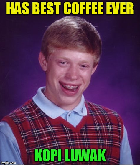 Bad Luck Brian Meme | HAS BEST COFFEE EVER KOPI LUWAK | image tagged in memes,bad luck brian | made w/ Imgflip meme maker