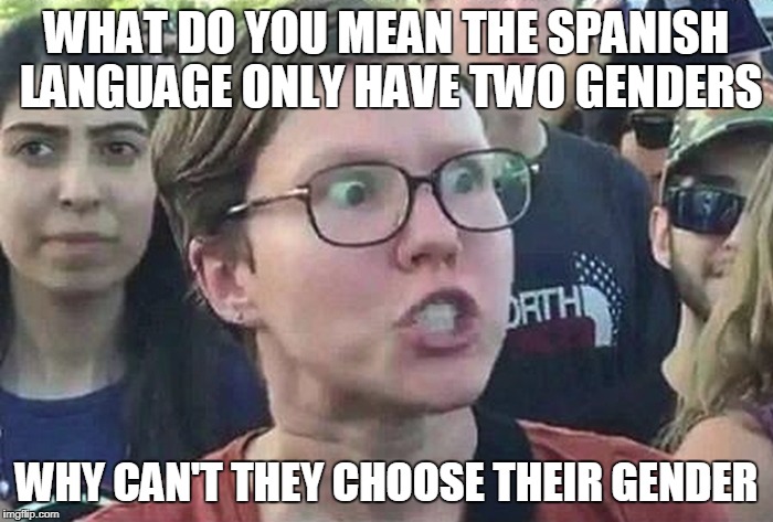 note:in the Spanish language,words have a "gender" | WHAT DO YOU MEAN THE SPANISH LANGUAGE ONLY HAVE TWO GENDERS; WHY CAN'T THEY CHOOSE THEIR GENDER | image tagged in triggered liberal | made w/ Imgflip meme maker
