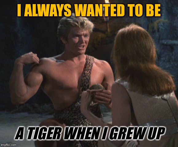 I ALWAYS WANTED TO BE A TIGER WHEN I GREW UP | made w/ Imgflip meme maker