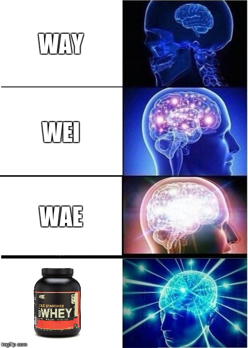 Expanding Brain Meme | WAY; WEI; WAE | image tagged in memes,expanding brain | made w/ Imgflip meme maker