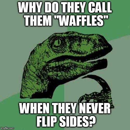Philosoraptor Meme | WHY DO THEY CALL THEM "WAFFLES"; WHEN THEY NEVER FLIP SIDES? | image tagged in memes,philosoraptor | made w/ Imgflip meme maker