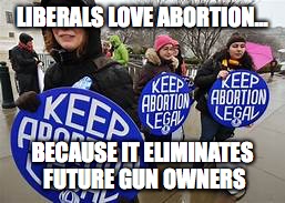 LIBERALS LOVE ABORTION... BECAUSE IT ELIMINATES FUTURE GUN OWNERS | image tagged in abortion,liberal,second amendment,gun control,guns | made w/ Imgflip meme maker
