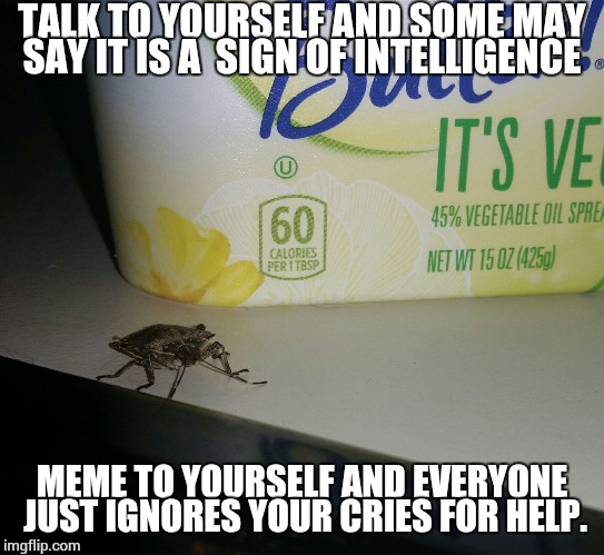 judgmental stink bug at breakfast | TALK TO YOURSELF AND SOME MAY SAY IT IS A  SIGN OF INTELLIGENCE MEME TO YOURSELF AND EVERYONE JUST IGNORES YOUR CRIES FOR HELP. | image tagged in judgmental stink bug at breakfast | made w/ Imgflip meme maker