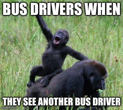 Gorilla waving | BUS DRIVERS WHEN; THEY SEE ANOTHER BUS DRIVER | image tagged in gorilla waving | made w/ Imgflip meme maker