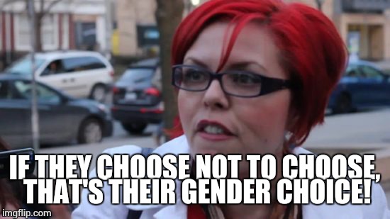 fem ho | IF THEY CHOOSE NOT TO CHOOSE, THAT'S THEIR GENDER CHOICE! | image tagged in fem ho | made w/ Imgflip meme maker