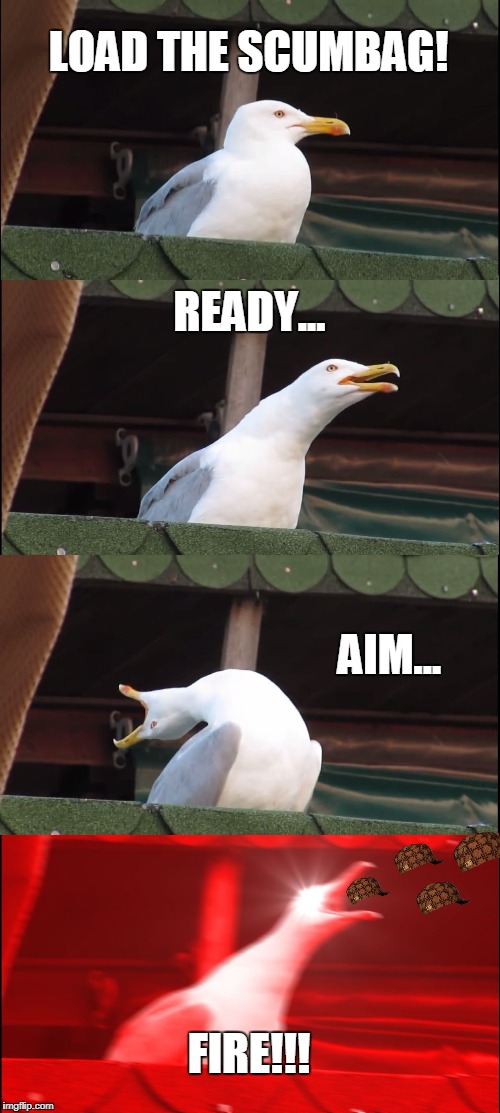 Inhaling Seagull Meme | LOAD THE SCUMBAG! READY... AIM... FIRE!!! | image tagged in memes,inhaling seagull,scumbag | made w/ Imgflip meme maker