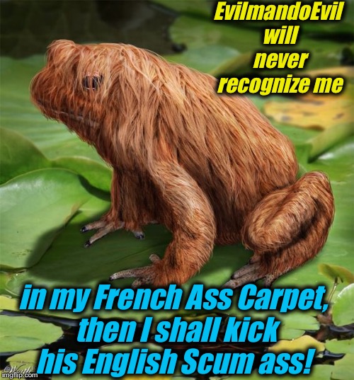 EvilmandoEvil will never recognize me in my French Ass Carpet, then I shall kick his English Scum ass! | made w/ Imgflip meme maker