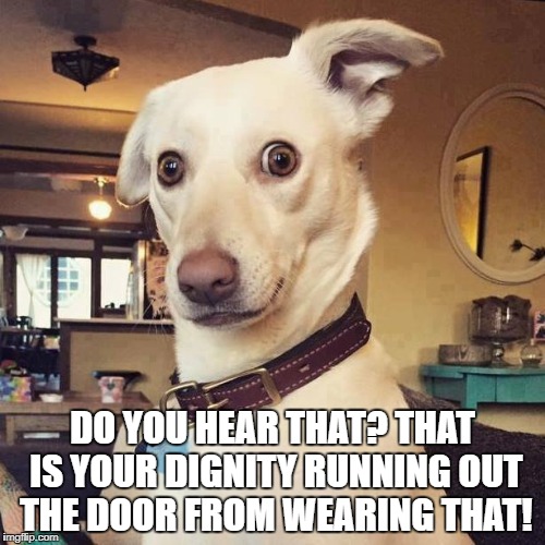 What did you say! | DO YOU HEAR THAT? THAT IS YOUR DIGNITY RUNNING OUT THE DOOR FROM WEARING THAT! | image tagged in what did you say | made w/ Imgflip meme maker