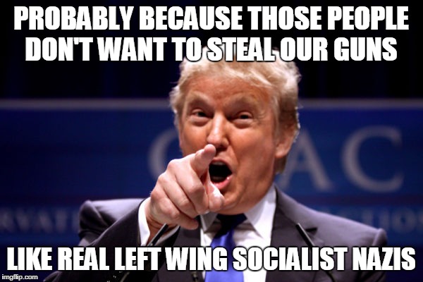 Your President BWHA-HA-HA! | PROBABLY BECAUSE THOSE PEOPLE DON'T WANT TO STEAL OUR GUNS LIKE REAL LEFT WING SOCIALIST NAZIS | image tagged in your president bwha-ha-ha | made w/ Imgflip meme maker