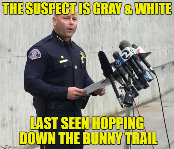 THE SUSPECT IS GRAY & WHITE LAST SEEN HOPPING DOWN THE BUNNY TRAIL | made w/ Imgflip meme maker