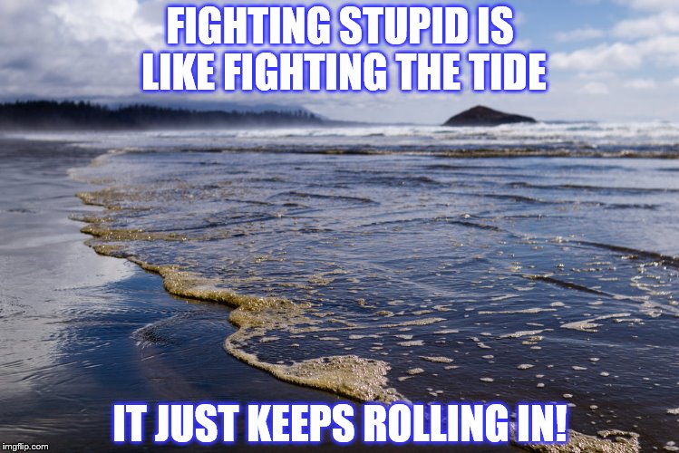 Fighting Stupid | FIGHTING STUPID IS LIKE FIGHTING THE TIDE; IT JUST KEEPS ROLLING IN! | image tagged in fighting ignorance,the tide | made w/ Imgflip meme maker