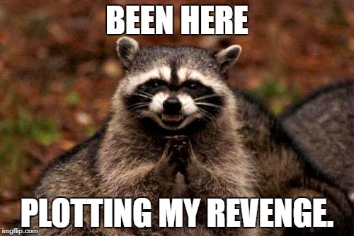 Evil Plotting Raccoon Meme | BEEN HERE; PLOTTING MY REVENGE. | image tagged in memes,evil plotting raccoon | made w/ Imgflip meme maker
