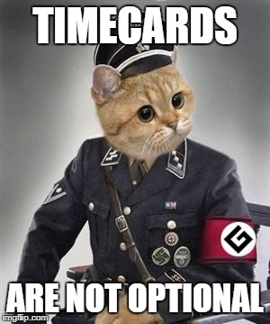Grammar Nazi Cat | TIMECARDS; ARE NOT OPTIONAL | image tagged in grammar nazi cat | made w/ Imgflip meme maker