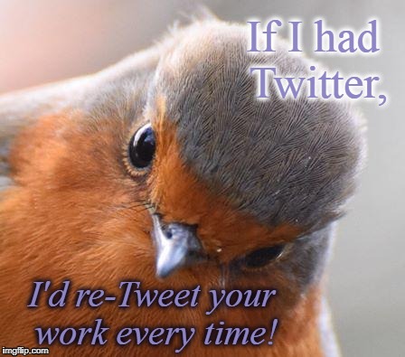 Bird Look | If I had Twitter, I'd re-Tweet your work every time! | image tagged in bird look | made w/ Imgflip meme maker