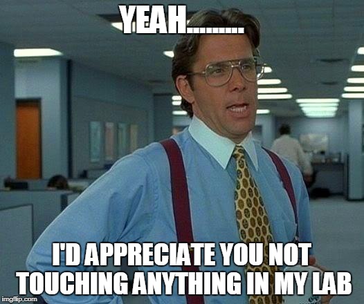 That Would Be Great Meme | YEAH......... I'D APPRECIATE YOU NOT TOUCHING ANYTHING IN MY LAB | image tagged in memes,that would be great | made w/ Imgflip meme maker