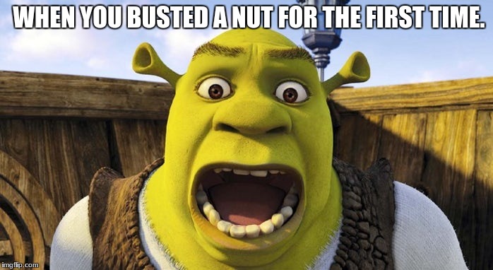 WHEN YOU BUSTED A NUT FOR THE FIRST TIME. | image tagged in shrek bust a nut | made w/ Imgflip meme maker