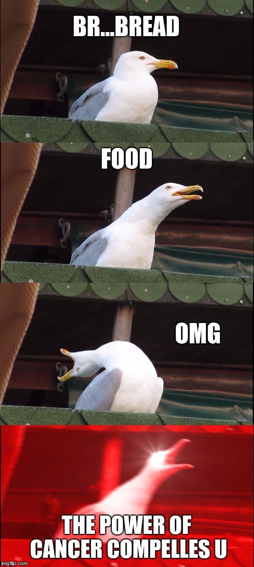 Inhaling Seagull | BR...BREAD; FOOD; OMG; THE POWER OF CANCER COMPELLES U | image tagged in memes,inhaling seagull | made w/ Imgflip meme maker