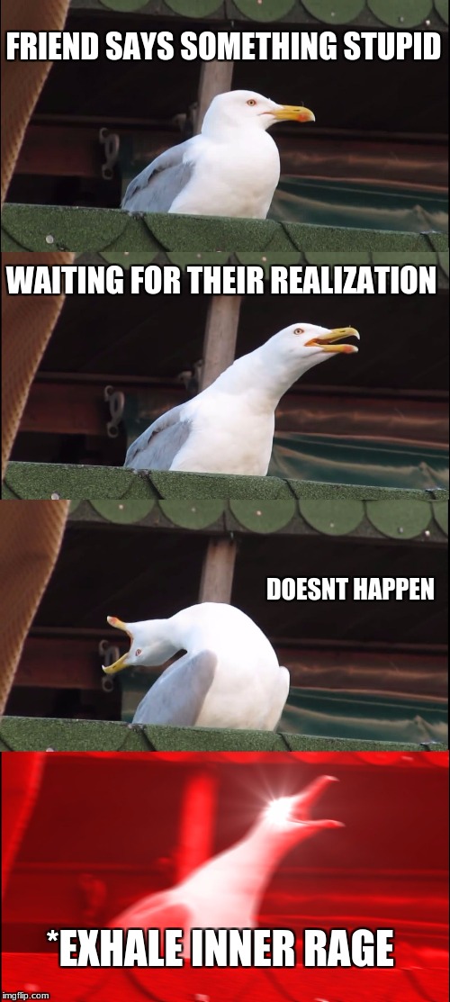 Inhaling Seagull | FRIEND SAYS SOMETHING STUPID; WAITING FOR THEIR REALIZATION; DOESNT HAPPEN; *EXHALE INNER RAGE | image tagged in memes,inhaling seagull | made w/ Imgflip meme maker