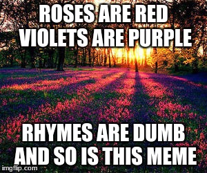 roses are red | ROSES ARE RED VIOLETS ARE PURPLE; RHYMES ARE DUMB AND SO IS THIS MEME | image tagged in roses are red | made w/ Imgflip meme maker