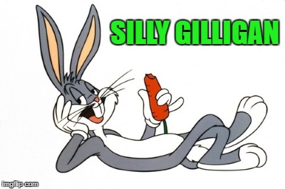 bugs | SILLY GILLIGAN | image tagged in bugs | made w/ Imgflip meme maker