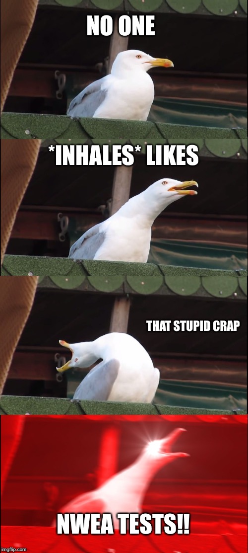 Inhaling Seagull Meme | NO ONE; *INHALES* LIKES; THAT STUPID CRAP; NWEA TESTS!! | image tagged in memes,inhaling seagull | made w/ Imgflip meme maker