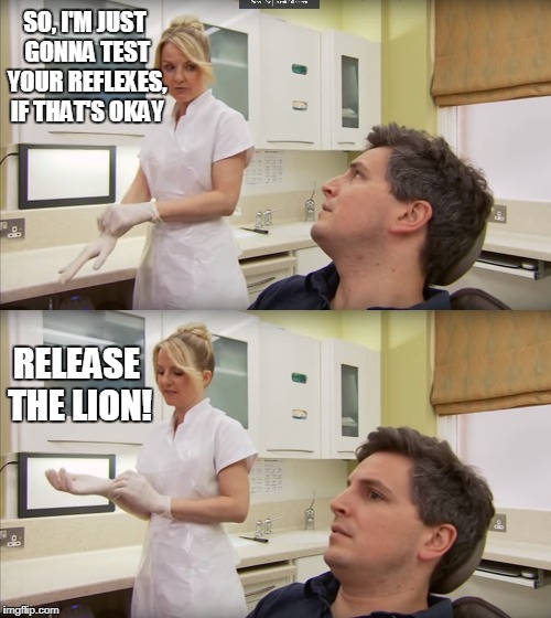 Release The Lion (What you never want to hear) | SO, I'M JUST GONNA TEST YOUR REFLEXES, IF THAT'S OKAY; RELEASE THE LION! | image tagged in memes,jokes,funny,doctors,death,lion | made w/ Imgflip meme maker