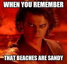 anakin star wars | WHEN YOU REMEMBER; THAT BEACHES ARE SANDY | image tagged in anakin star wars | made w/ Imgflip meme maker